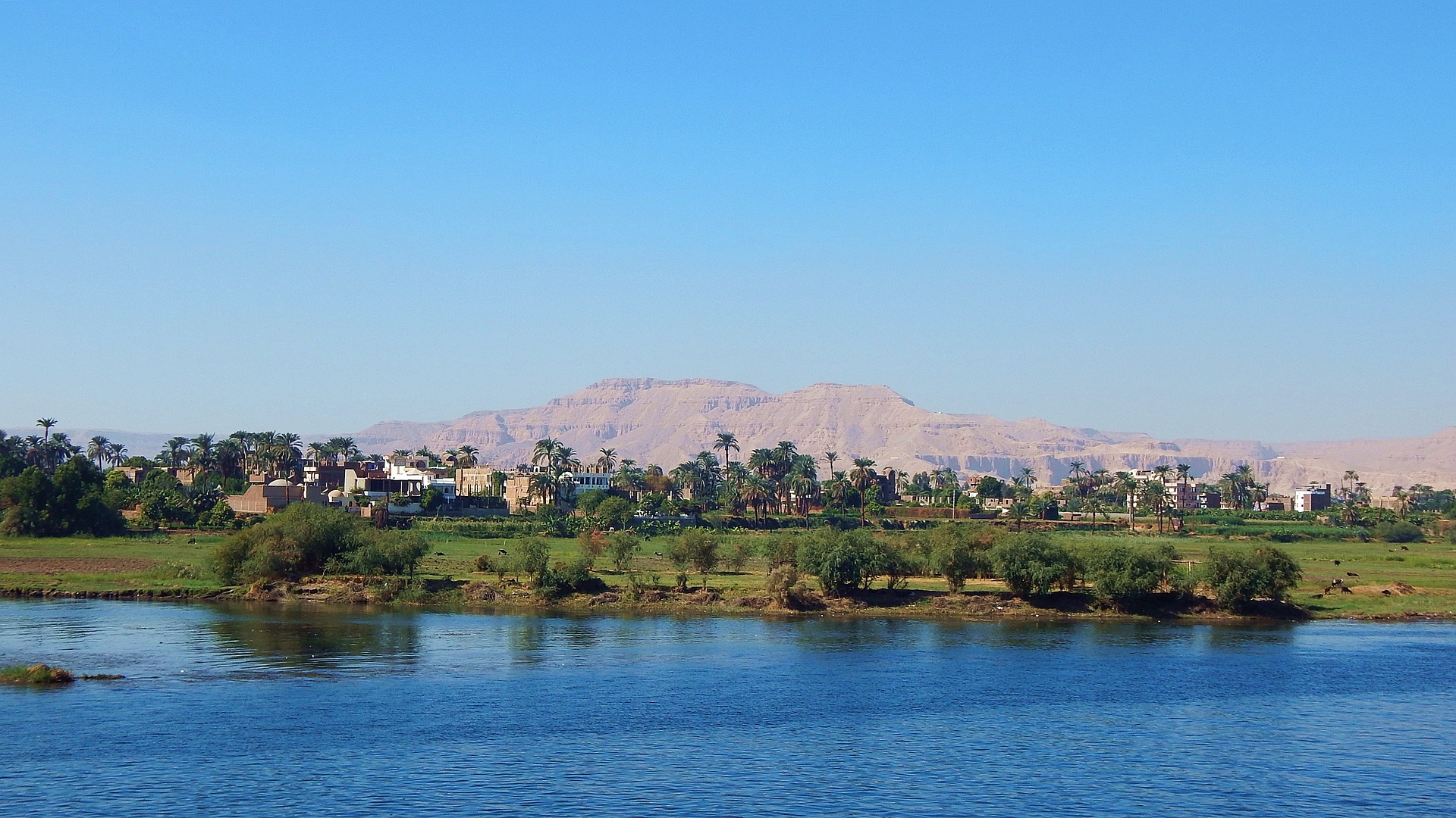 nil-palmen-luxor